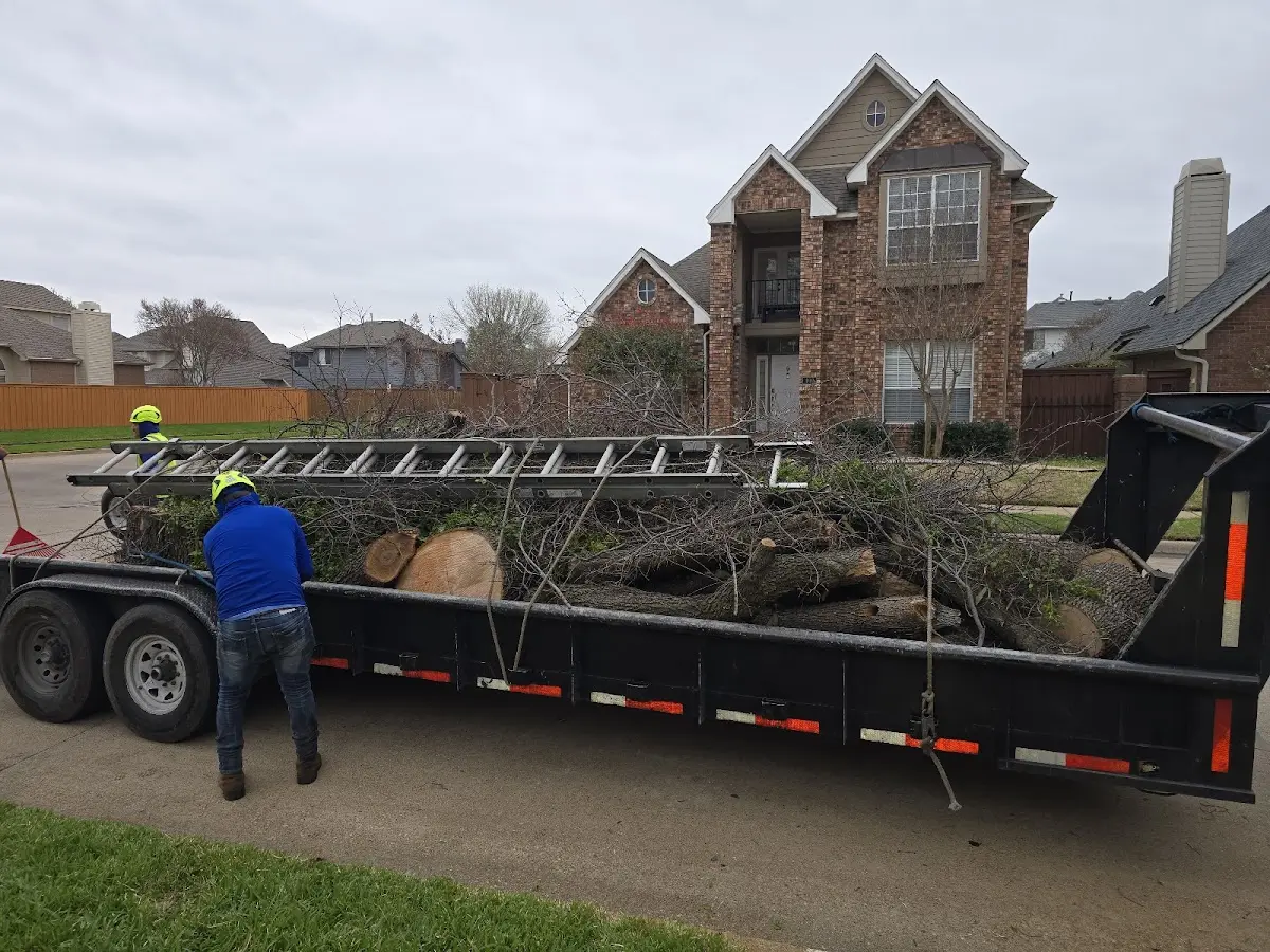 Expert Crown Reduction with proper safety equipment in Montrose
